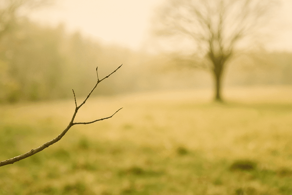 Representaçã de Stranger Things Raízes do Mal